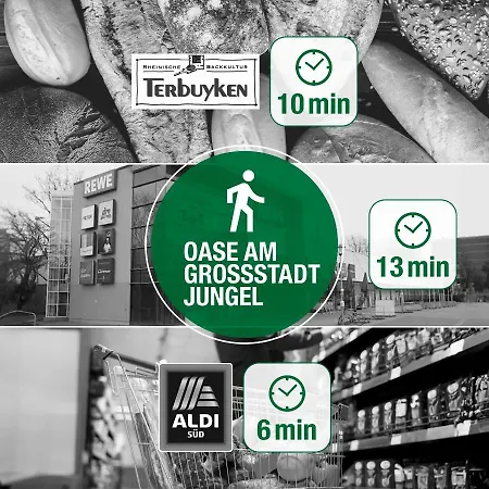 Oase Am Grossstadt Jungel اركراث